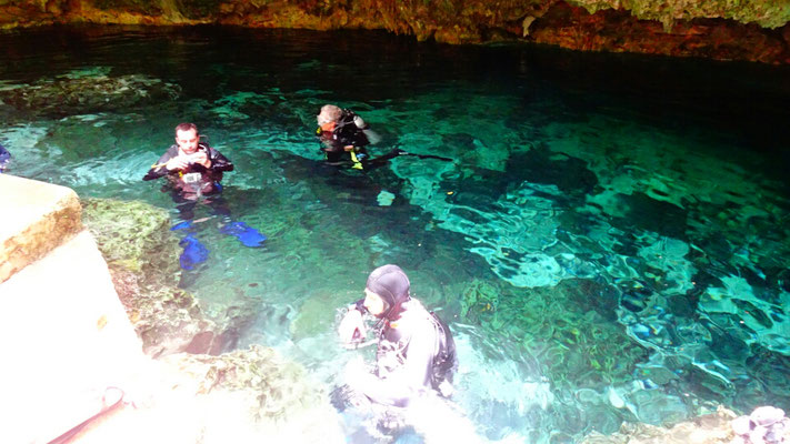 Cenote diving in Playa del Carmen