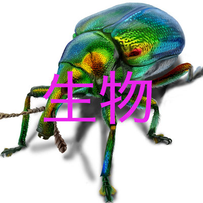 生物