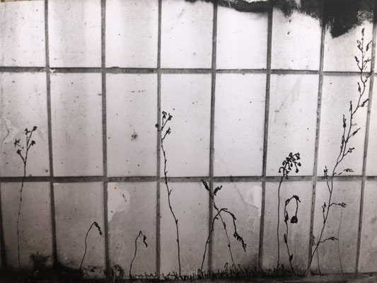 Installation view, Muttertag, Frankfurt/Main, 1991