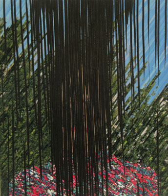 Federschmuck, 65 x 55 cm, 2013