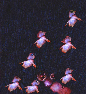 Galactic Chicken Shit, 150 x 130 cm, 2009