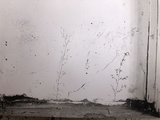 Installation view, Muttertag, Frankfurt/M, 19991