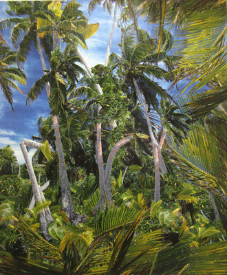 LUCK, 205 x 175 cm, 2010
