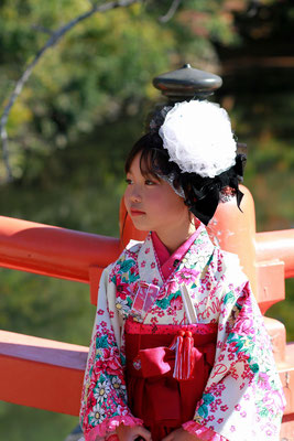 山梨県武田神社にてロケーションフォトを行う7歳七五三袴スタイル