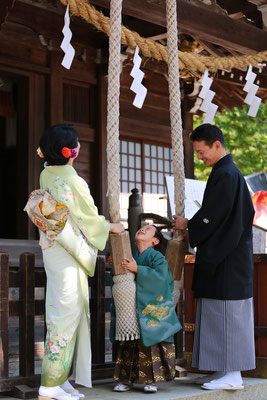 山梨県武田神社にてロケーションフォトを行う七五三5歳男の子家族写真