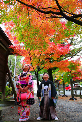 五歳男の子七五三撮影紅葉を背景に