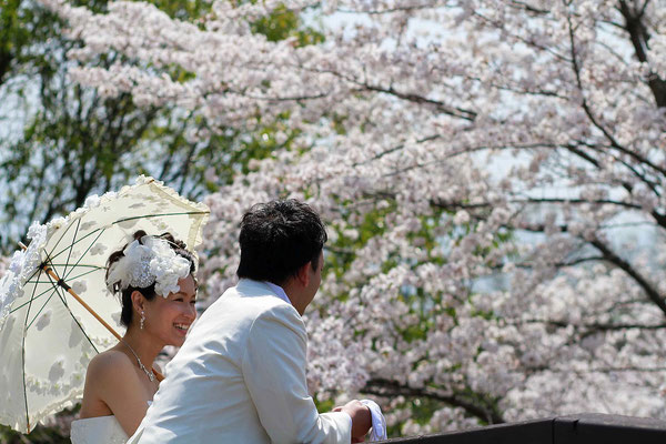 洋装ロケーションフォトウェディングを桜の木の下で楽しむ新郎新婦様