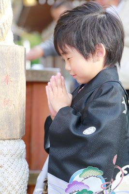 山梨県武田神社にてロケーションフォト5歳七五三お詣りシーン