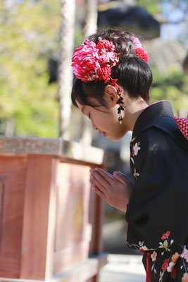 山梨県武田神社にてロケーションフォトを行う7歳七五三お詣り写真
