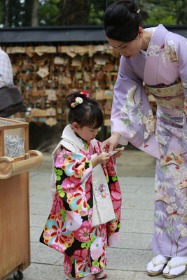 山梨県武田神社にてロケーションフォトを行う3歳七五三子供おみくじ