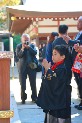 山梨県武田神社にてロケーションフォトを行う5歳七五三お詣りシーン