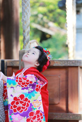 山梨県武田神社にてロケーションフォトを行う3歳七五三お詣り写真