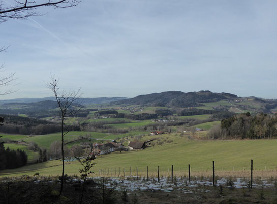 Blick auf Weingarten