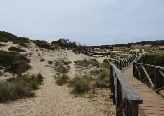 Sanddünen an der Cala Mesquida