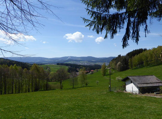 Blick auf Viechtach und den Pröller