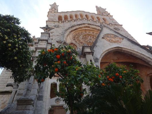 Orangenbaum vor der Kirche in Soller