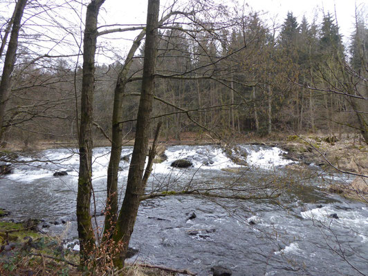 Wasserfall an der Schwarzach