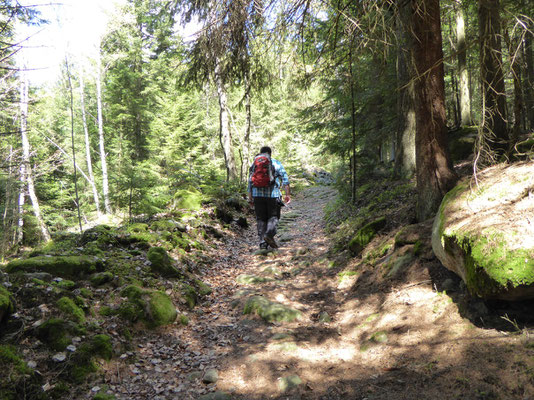 Aufstieg auf den Weigelsberg