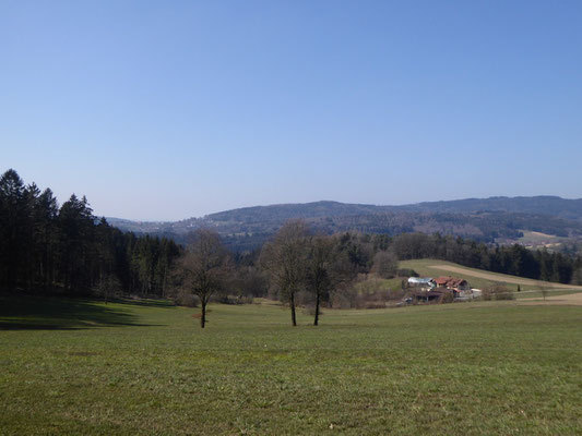 Blick zurück auf Saulburg