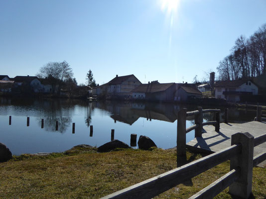 Badeweiher in Falkenfels