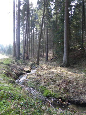 Am Großen Leithenbach geht es ins Tal