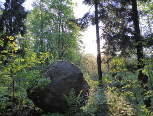 "Hinkelstein" vor Sonne im Wald :-))