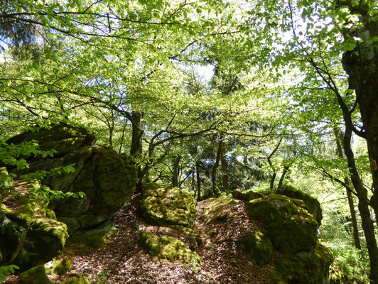 auf dem Klettersteig...