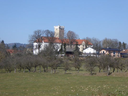 Burg Falkenfels