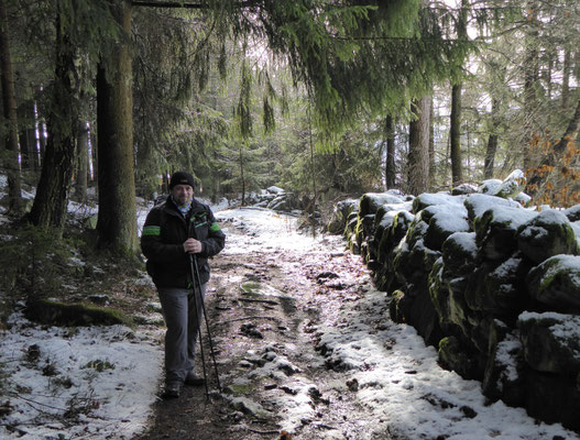 über einen schönen Waldweg geht es hinunter