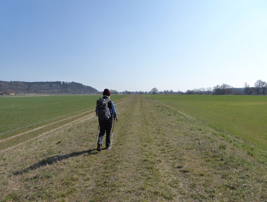 ...am Donaudamm geht es entlang