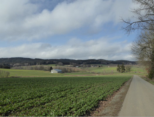 Blick zurück auf Kleinenzenried