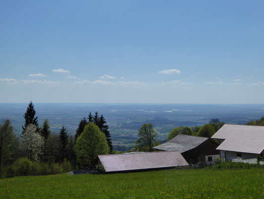 Blick in den Gäuboden von Grandsberg aus...