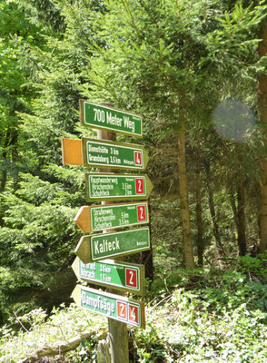 Wegweiser