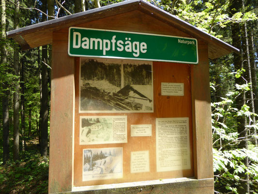 Dampfsäge