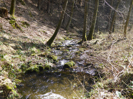 Der Große Leithenbach