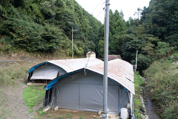 岡本ファームの鶏舎