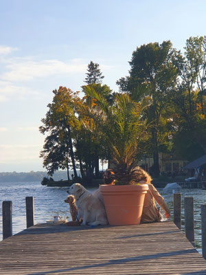 Tutzing Nordbad, 12.10.2025 