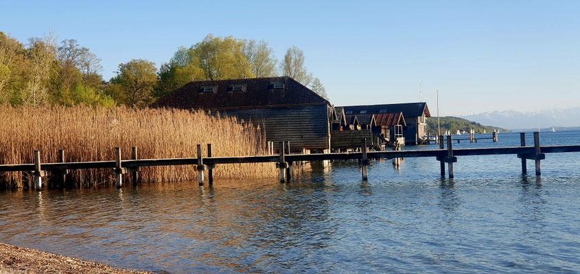 Percha am Starnberger See, 25.04.26