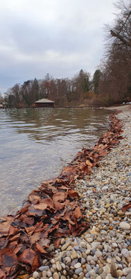 Garatshausen am Starnberger See, 01.03.26