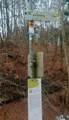 Kientalweg zw. Andechs und Herrsching, 18.02.26 
