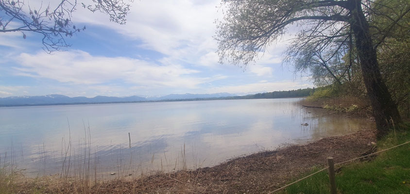 Blick gen Seeshaupt am Starnberger See,  27.04.26 