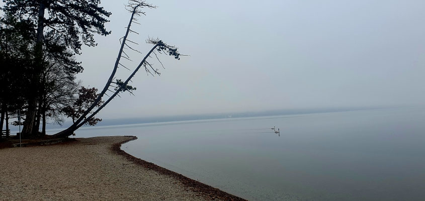 Tutzing, 13.12.25 