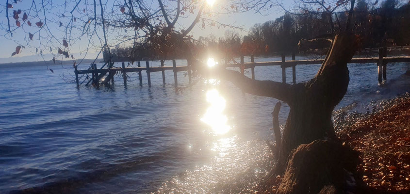 Tutzing am Starnberger See, 31.12.25