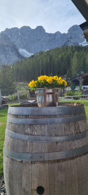 Wochenbrunner Alm, 03.05.26