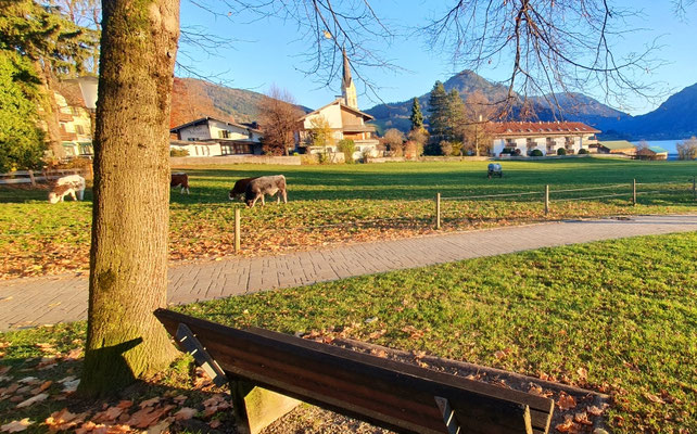 Schliersee, 07.11.25 