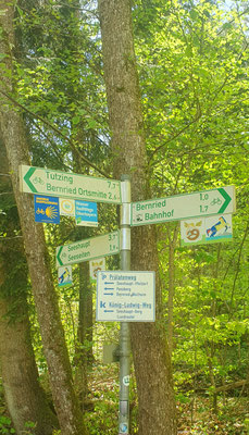 Wanderweg n. Seeshaupt/Starnberger See, 27.04.26