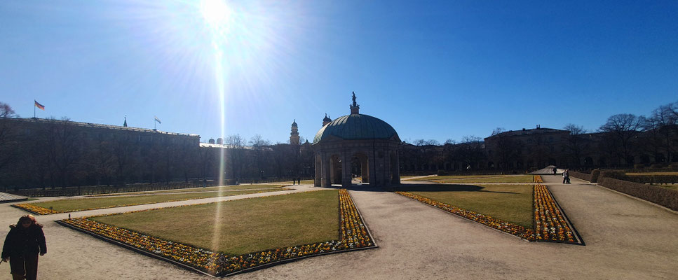 frisch gepflanzt im Hofgarten, 18.03.25