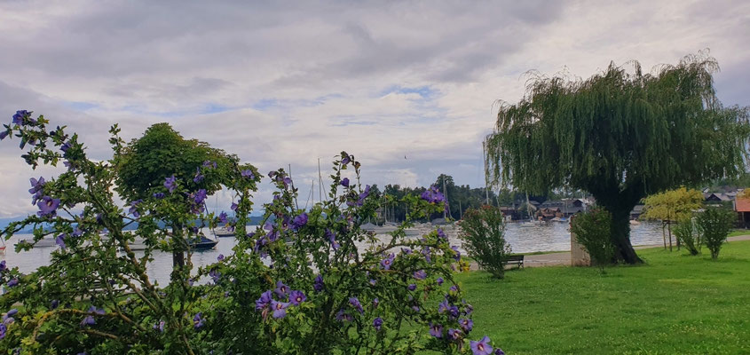 Brahms-Promenade, Tutzing, 03.08.25