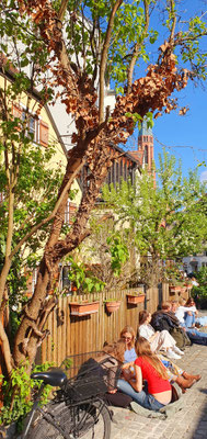 am Wiener Platz, 17.04.26
