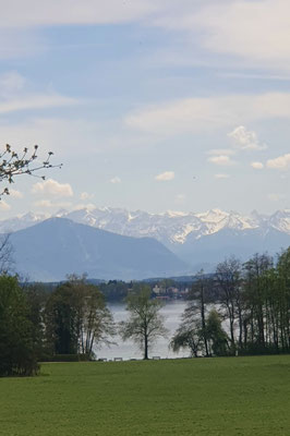 Bernrieder Park am Starnberger See, 27.04.26